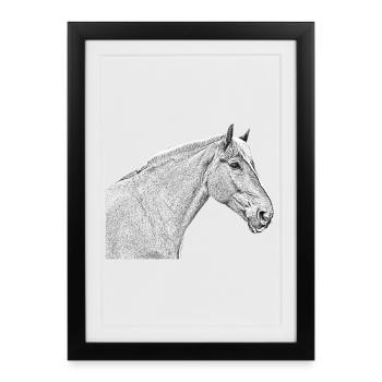 Horsehead horse dressage horse horse riding - Framed poster (27 × 37 cm) - black - Front