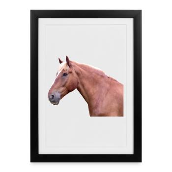 Cheval tête de cheval dressage cheval cheval race - Affiche encadrée (27 × 37 cm) - noir - Devant