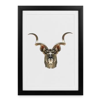 Antilope koudou, motifs d’animaux africains - Affiche encadrée (27 × 37 cm) - noir - Devant