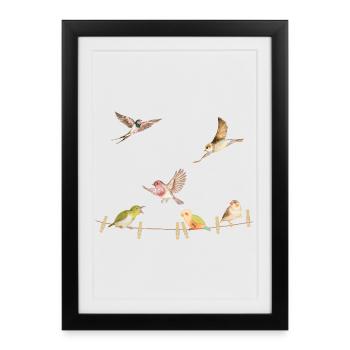 T-shirt d’oiseau drôle, aquarelle à imprimé animal - Affiche encadrée (27 × 37 cm) - noir - Devant