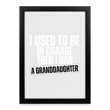 Be in Charge Then I Had A Daughter Funny dad - Framed poster (27 × 37 cm) - black - Front