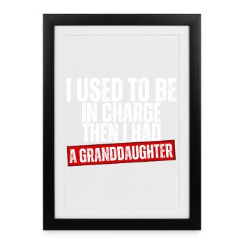 Be in Charge Then I Had A Daughter Funny dad - Framed poster (27 × 37 cm) - black - Front
