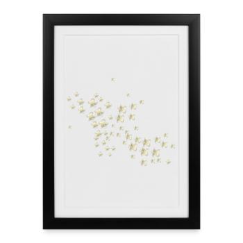 Elderflower Botanical Floral Motif - Framed poster (27 × 37 cm) - black - Front