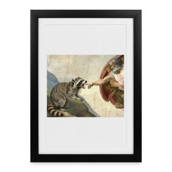 Mème raton laveur battant la main de Dieu - Affiche encadrée (27 × 37 cm) - noir - Devant