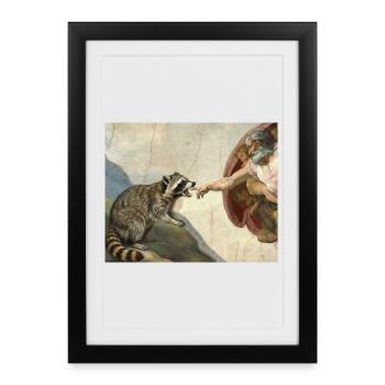 Mème raton laveur battant la main de Dieu - Affiche encadrée (27 × 37 cm) - noir - Devant