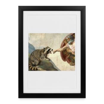Mème raton laveur battant la main de Dieu - Affiche encadrée (27 × 37 cm) - noir - Devant