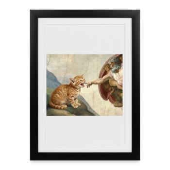 Chat gifle la main de Dieu Mème des chats drôles - Affiche encadrée (27 × 37 cm) - noir - Devant