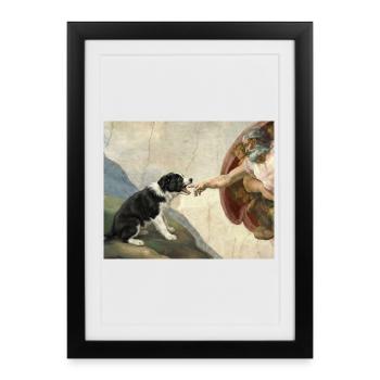 Mème du chien Dog God Hand Border Collie - Affiche encadrée (27 × 37 cm) - noir - Devant
