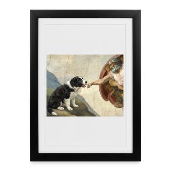 Mème du chien Dog God Hand Border Collie - Affiche encadrée (27 × 37 cm) - noir - Devant