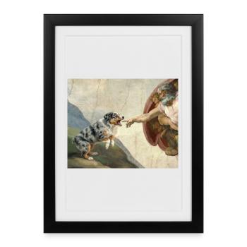 Mème du chien Dog God God Shepherd Berger australien - Affiche encadrée (27 × 37 cm) - noir - Devant