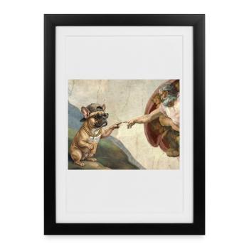 Chat gifle la main de Dieu Mème des chats drôles - Affiche encadrée (27 × 37 cm) - noir - Devant