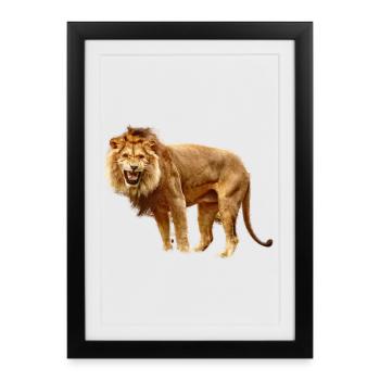 Lion - Affiche encadrée (27 × 37 cm) - noir - Devant