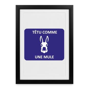 Têtu comme une mule - Affiche encadrée (27 × 37 cm) - noir - Devant