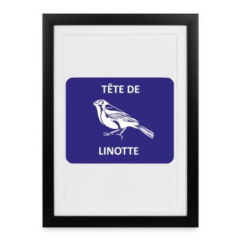 Tête de linotte - Affiche encadrée (27 × 37 cm) - noir - Devant