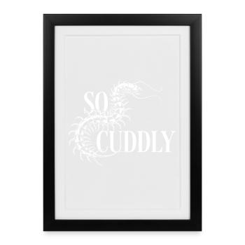 Éventail Scolopender - Affiche encadrée (27 × 37 cm) - noir - Devant