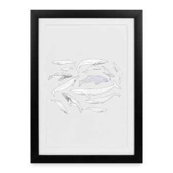 Baleines - Baleines - Baleines - Affiche encadrée (27 × 37 cm) - noir - Devant