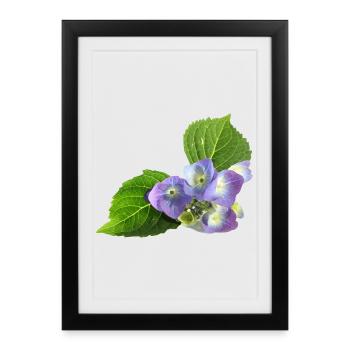 flower - Framed poster (27 × 37 cm) - black - Front