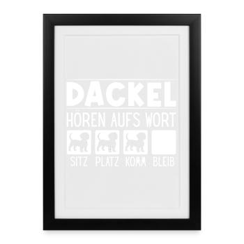 Teckel, Chien, Teckel à poil dur, Amoureux du teckel, Teckel - Affiche encadrée (27 × 37 cm) - noir - Devant