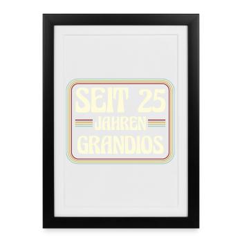 25 Years Old Birthday 25th Birthday - Framed poster (27 × 37 cm) - black - Front