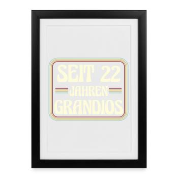 22 years old Birthday 22nd birthday - Framed poster (27 × 37 cm) - black - Front