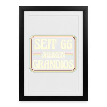 66 years old Birthday 66th birthday - Framed poster (27 × 37 cm) - black - Front
