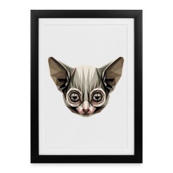 Galago Buisson Bébé Singe Galagos Singe Mignon Galago - Affiche encadrée (27 × 37 cm) - noir - Devant