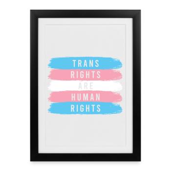 Mois de la Fierté LGBTQ - Les droits des personnes trans sont des droits humains - Affiche encadrée (27 × 37 cm) - noir - Devant