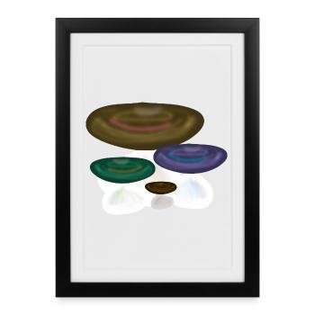 colorful mushrooms mushroom nature forest - Framed poster (27 × 37 cm) - black - Front