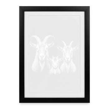 Chèvre - Affiche encadrée (27 × 37 cm) - noir - Devant