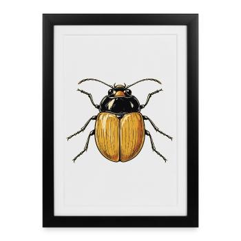Beetles, May Beetles, Sweets, Deer Beetles, Insects - Framed poster (27 × 37 cm) - black - Front