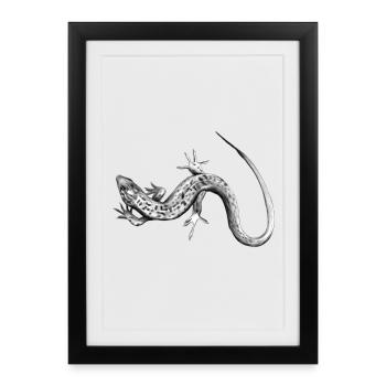Lézard gris motif noir et blanc - Affiche encadrée (27 × 37 cm) - noir - Devant