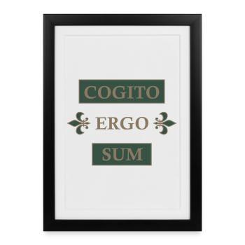 Cogito ergo sum - Framed poster (27 × 37 cm) - black - Front