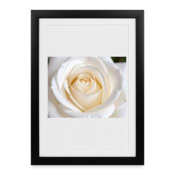 Rose Blanche Épurée pour Impression - Affiche encadrée (27 × 37 cm) - noir - Devant