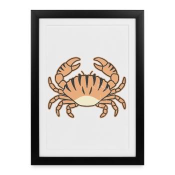 Stylized crab with tiger stripes - Framed poster (27 × 37 cm) - black - Front