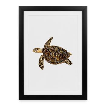Hawksbill turtle - Hawksbill turtle Tortue imbriquee - Framed poster (27 × 37 cm) - black - Front