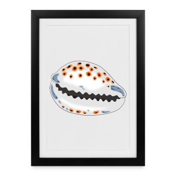 Shell with dots - Framed poster (27 × 37 cm) - black - Front