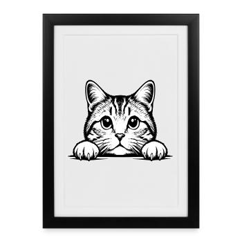 Chat Straigh écossais - Affiche encadrée (27 × 37 cm) - noir - Devant