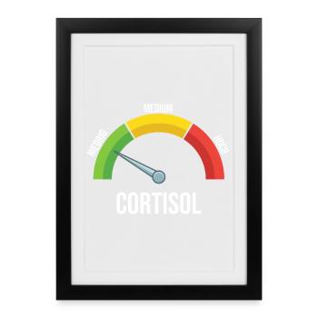 Cortisol Meter - Framed poster (27 × 37 cm) - black - Front