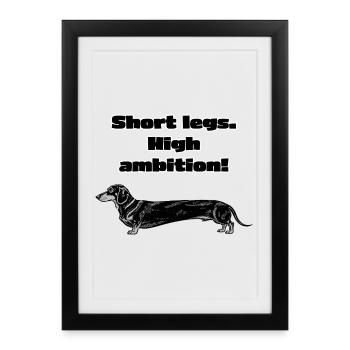 Jambes courtes, grande ambition – Diction teckel - Affiche encadrée (27 × 37 cm) - noir - Devant