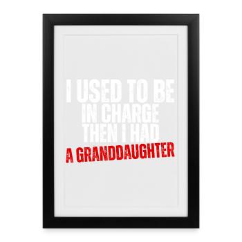 Be in Charge Then I Had A Daughter Funny dad - Framed poster (27 × 37 cm) - black - Front