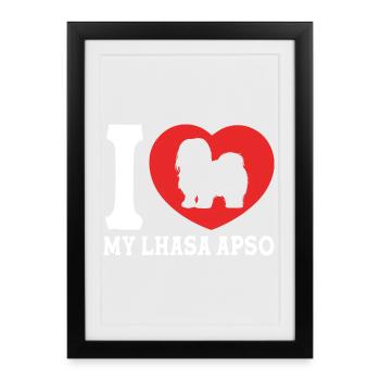 Chien Apso de Lhassa - Affiche encadrée (27 × 37 cm) - noir - Devant
