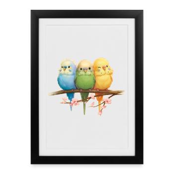 Perruches drôles - Affiche encadrée (27 × 37 cm) - noir - Devant