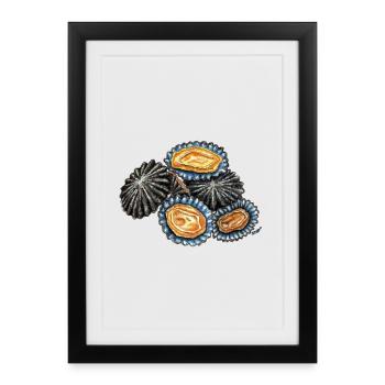 Patelles - fruits de mer - patelle - Affiche encadrée (27 × 37 cm) - noir - Devant