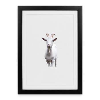 No Goats No Glory Goat Design - Framed poster (27 × 37 cm) - black - Front