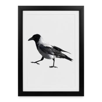 A small step by a crow - Framed poster (27 × 37 cm) - black - Front