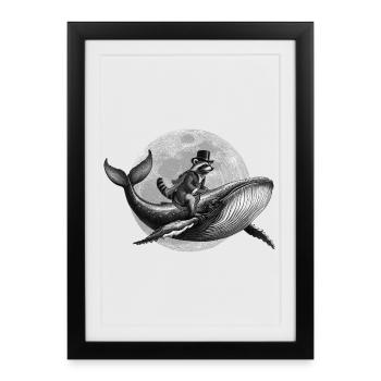 True Moon Love - Un raton laveur vole sur une baleine - Affiche encadrée (27 × 37 cm) - noir - Devant