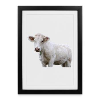 Vache - Affiche encadrée (27 × 37 cm) - noir - Devant