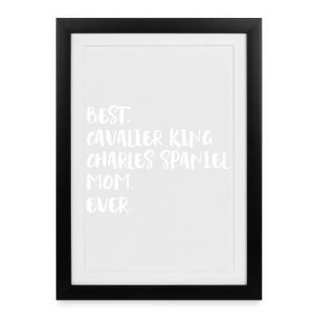 Cavalier King Charles Spaniel - Affiche encadrée (27 × 37 cm) - noir - Devant