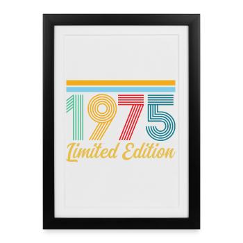 Anniversaire 1975 Né en 1975 Vintage Rétro Cadeau - Affiche encadrée (27 × 37 cm) - noir - Devant