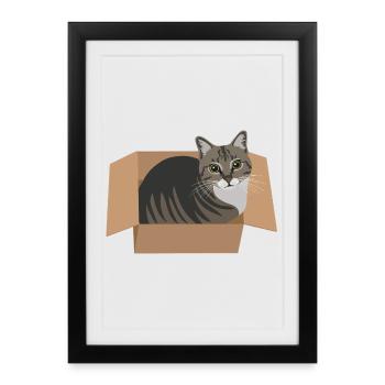 Un chat dans une boîte - Affiche encadrée (27 × 37 cm) - noir - Devant